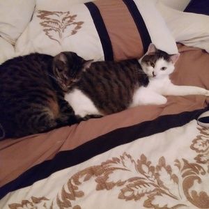 Meet your Posher, Cynthia